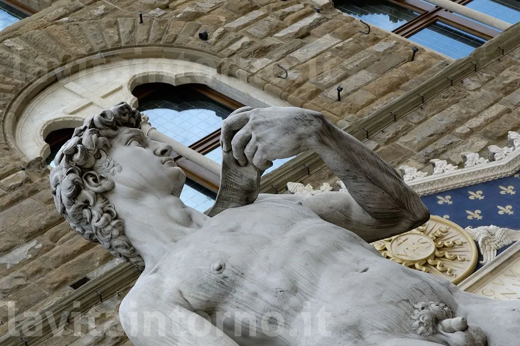 il DAVID di Michelangelo Buonarroti
