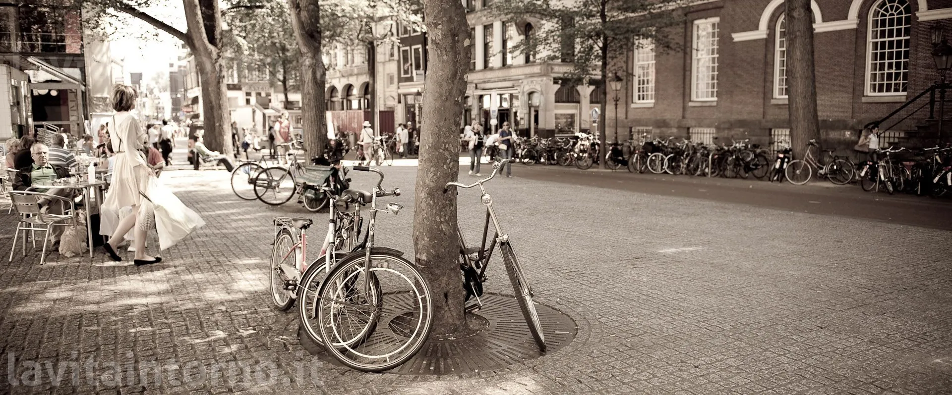 life's moments @ Amsterdam: bike's space
D700
Nikkor 24-70 F/2.8G AF-S