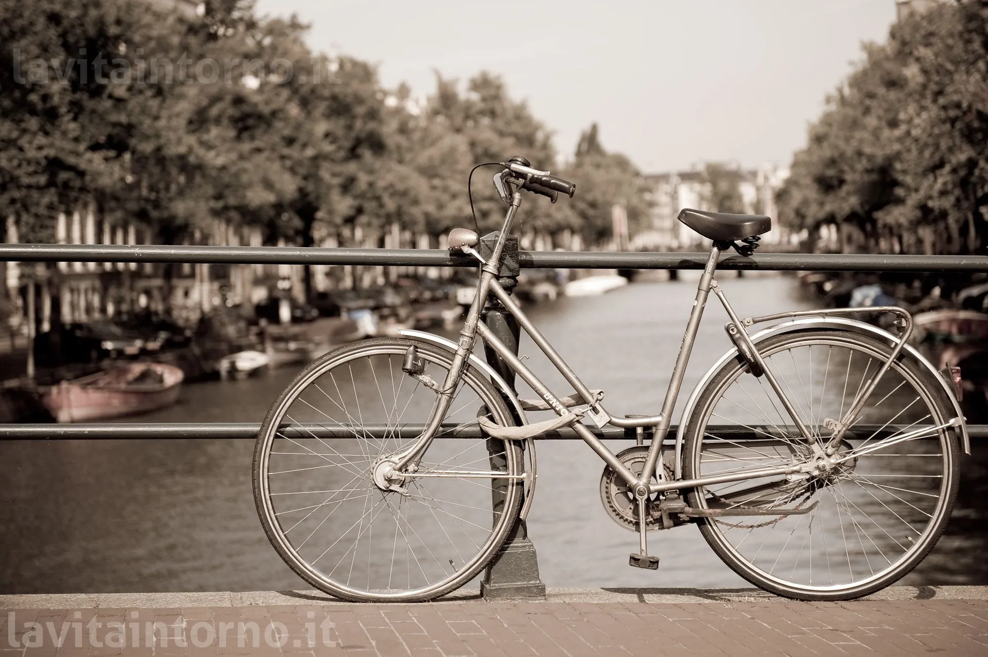 Amsterdam: bike on the bridge #2
D700
Nikkor 24-70 F/2.8G AF-S