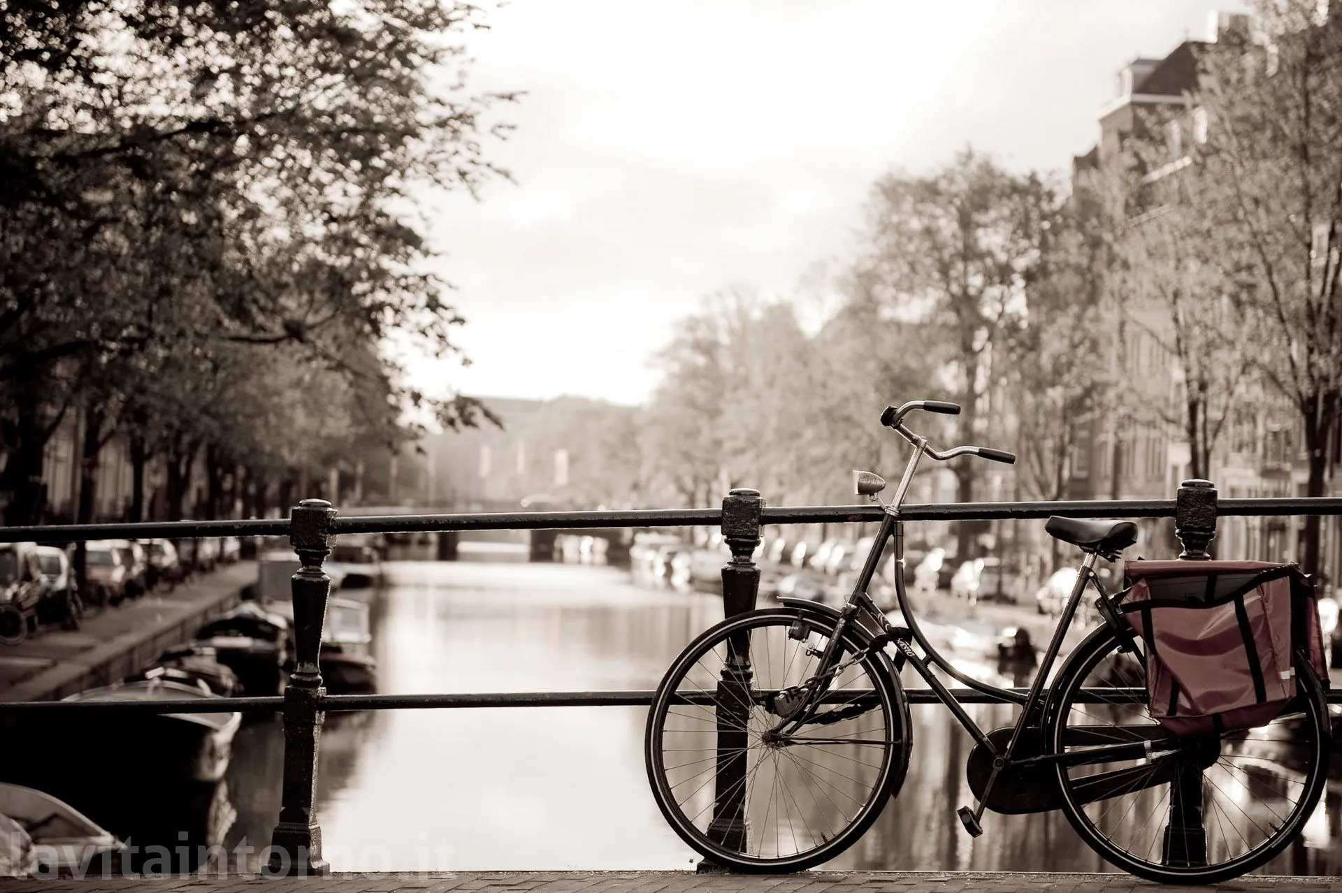 Amsterdam: bike on the bridge #3
D700
Nikkor 24-70 F/2.8G AF-S