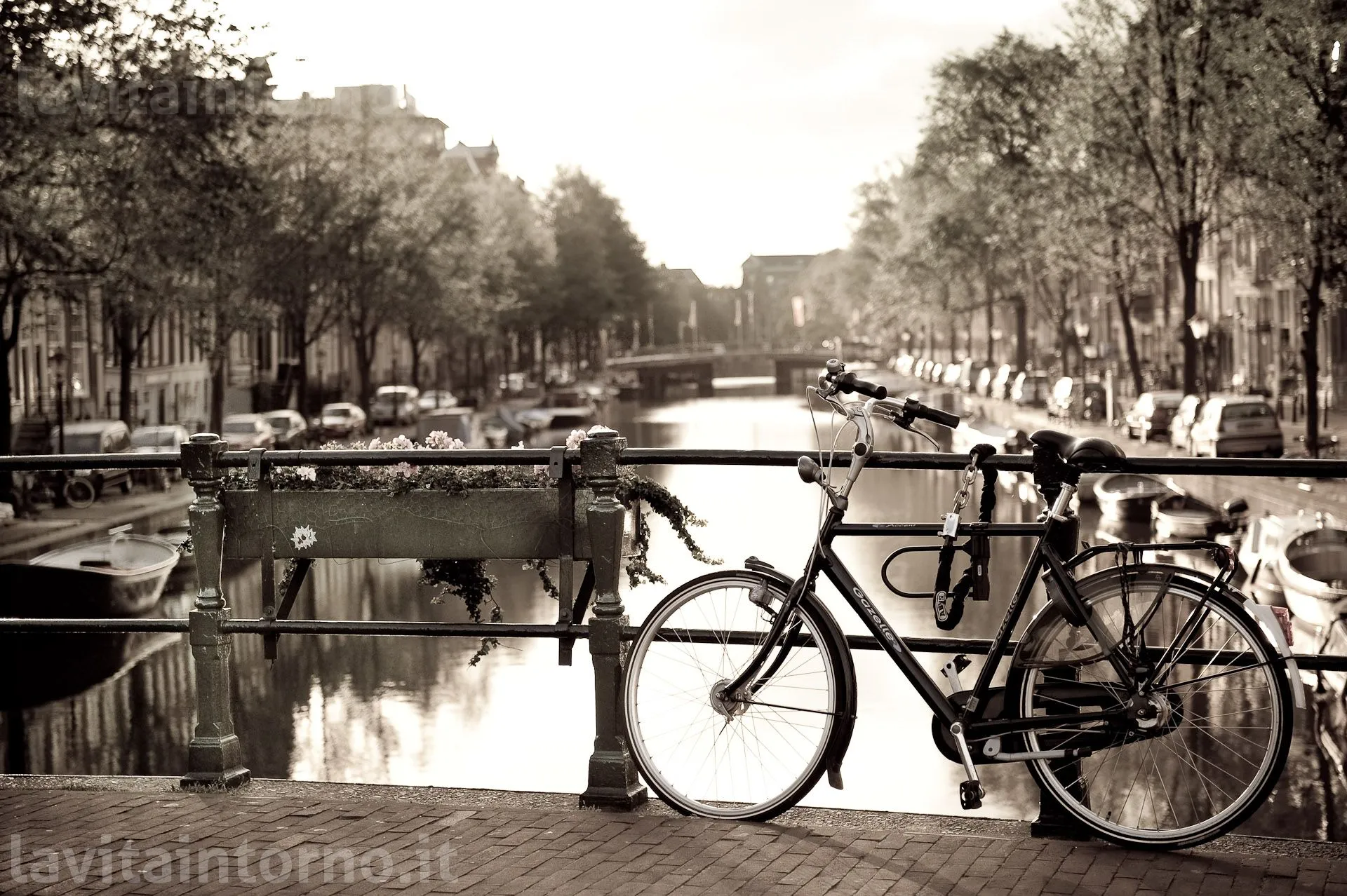 Amsterdam: bike on the bridge #4
D700
Nikkor 24-70 F/2.8G AF-S