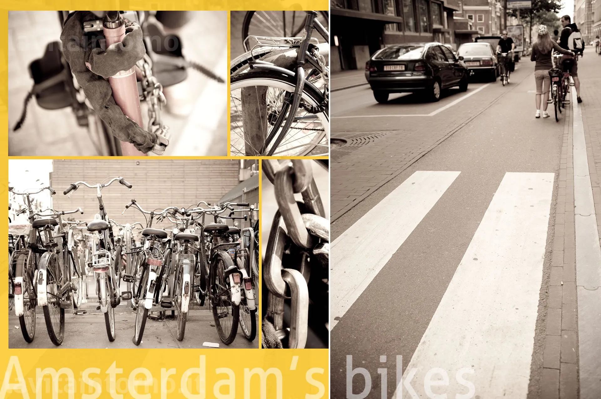 Amsterdam's bikes