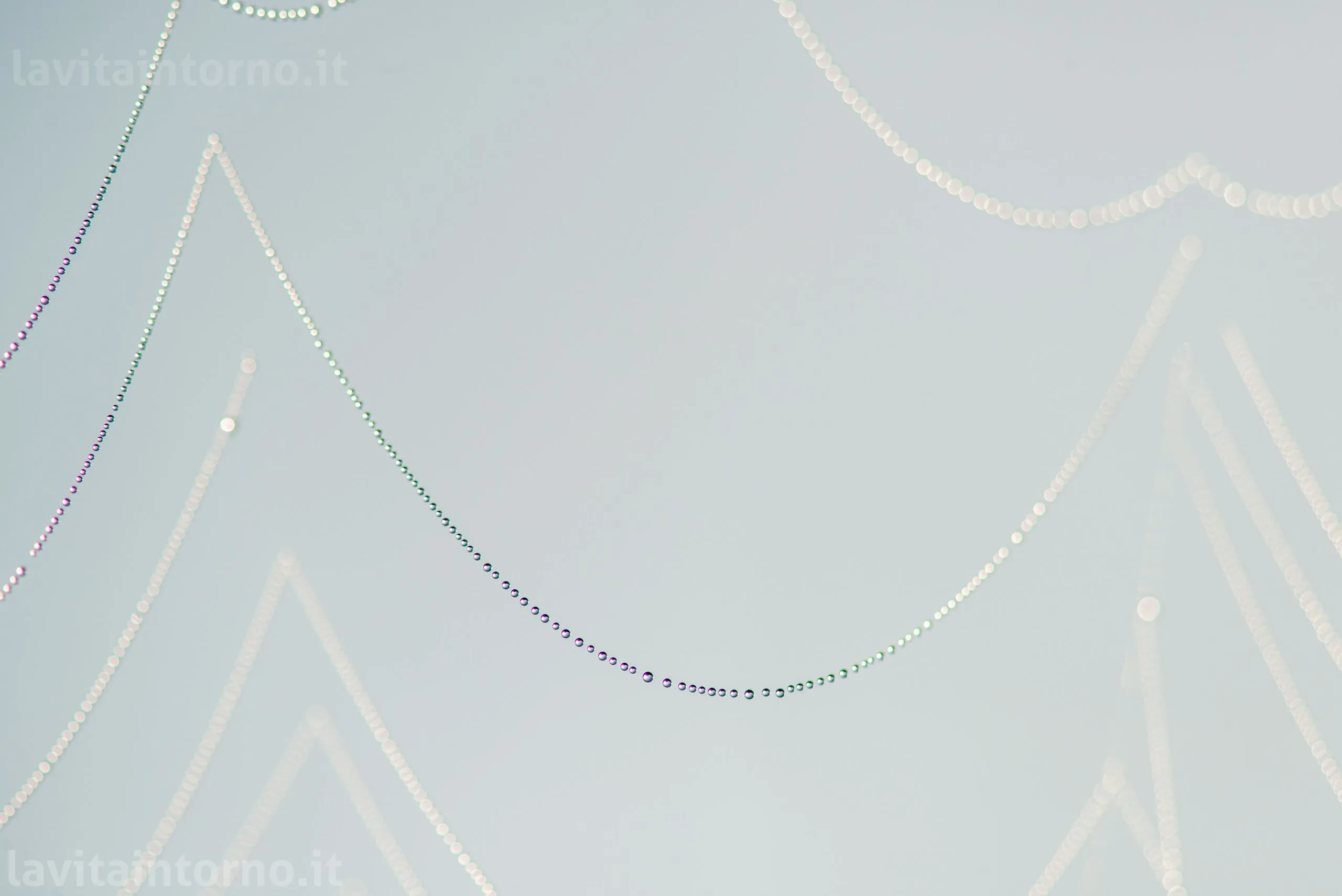 strings of pearls
D800E
Nikkor 105 F/2.8 VR AF-S 