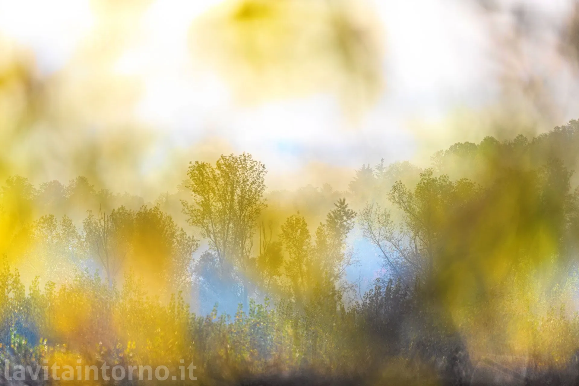 solo la meraviglia
Nikon Z9
Nikkor AF-S 300 F/2.8 VR II